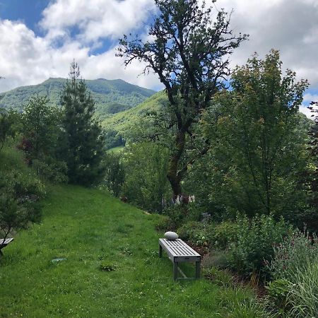 Au Rocher De Combieres Mandailles-Saint-Julien Bagian luar foto